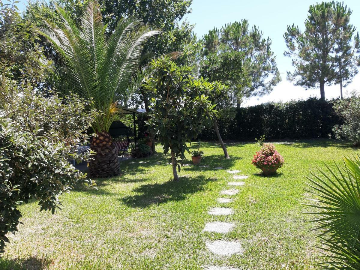 In Casale *