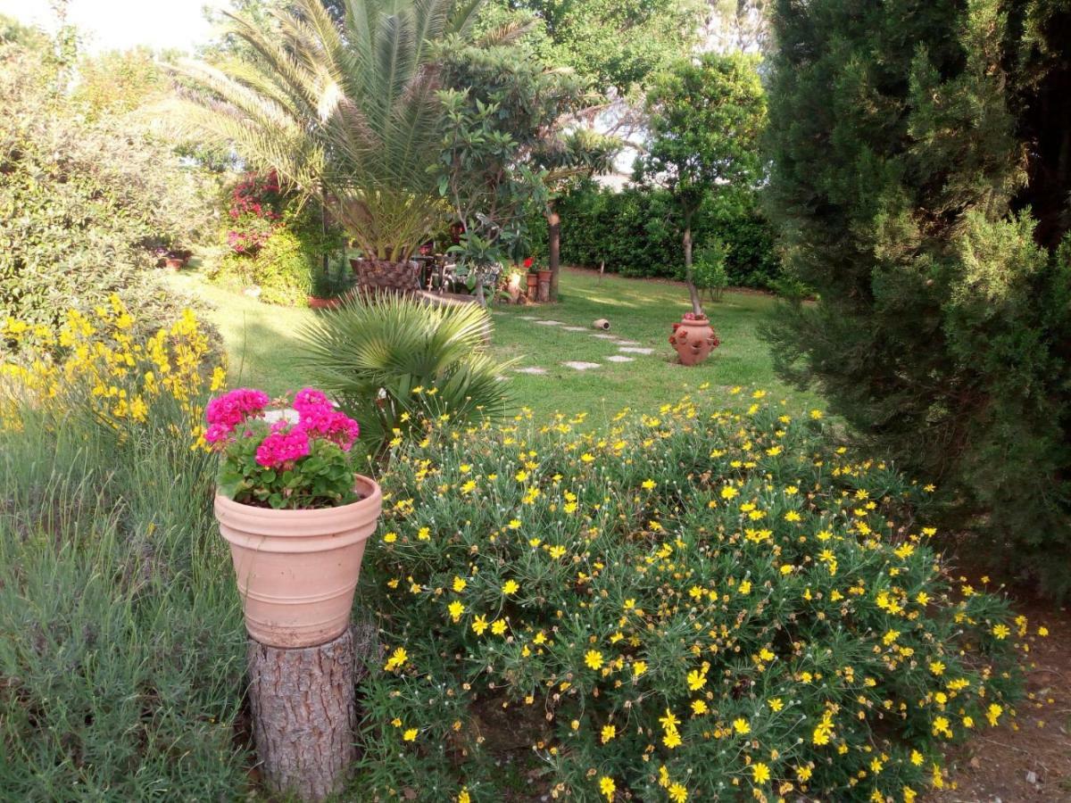 Holiday home In Casale Rispescia